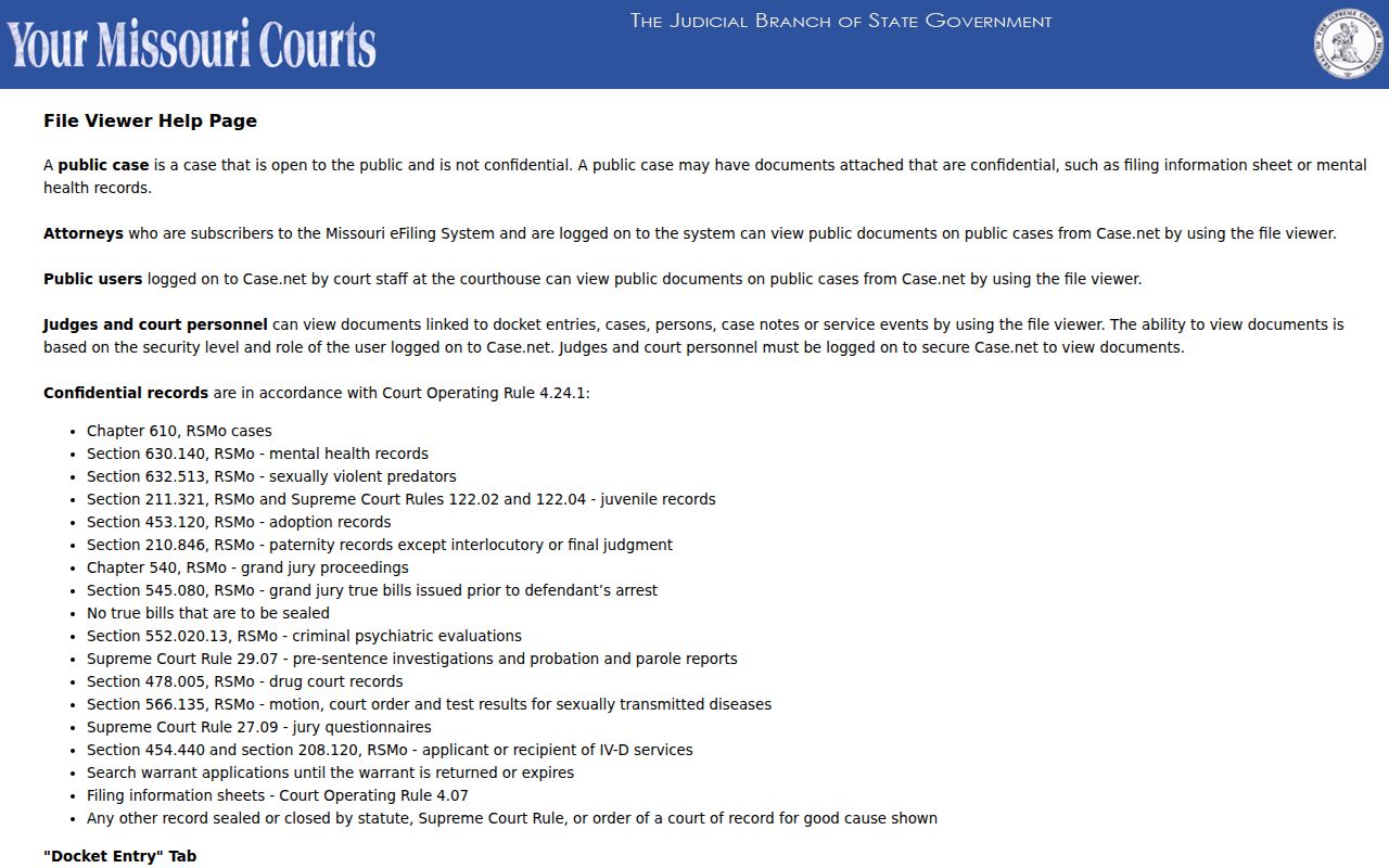 New Madrid County criminal court case File Viewer guidance
